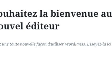 Supprimer Nouvel Editeur Wordpress