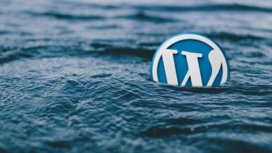 Cacher Des Extensions Dans Wordpress