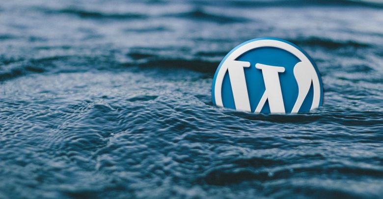 Cacher Des Extensions Dans Wordpress
