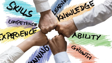 Agence Web Belgique